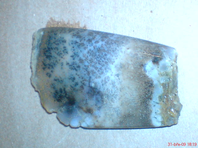  dentricky opal (lokalita Třesov 2008)